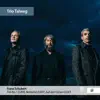 Trio No. 1 in B-Flat Major, D. 898: III. Scherzo. Allegro