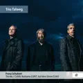 Trio No. 1 in B-Flat Major, D. 898: III. Scherzo. Allegro