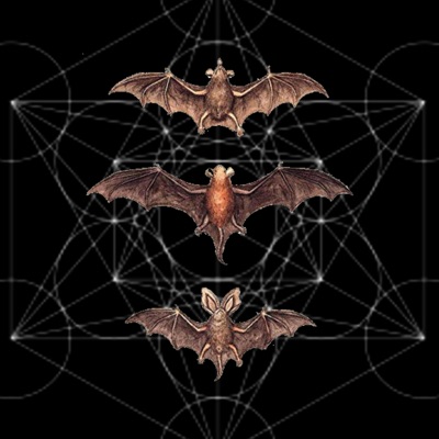 EP Plandemic! - EP
