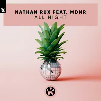 All Night (feat. MDNR) by Nathan Rux song reviws