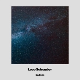 Endless Loop Schrauber