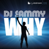 Why (Remixes) - DJ Sammy