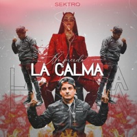No pierdo la calma - Single - Sektro