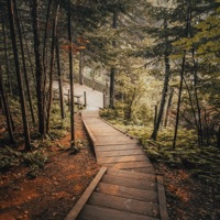 Let Go (feat. Dylan Longworth) - Single - Maks