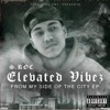 Elevated Vibez EP