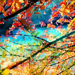 Colors - Single - The Livid Colors - Single - The Livid