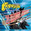 Mi Pegasso