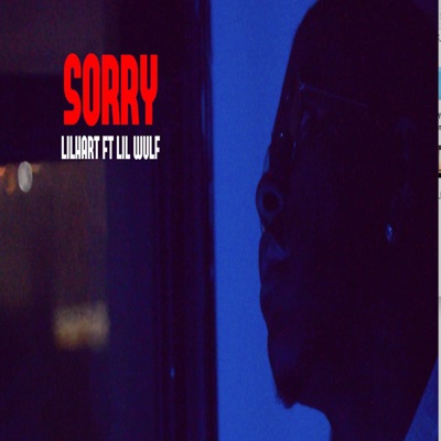 Sorry (feat. Lilwulf) - Single