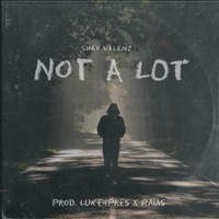 Not a Lot - Single - Shay Valenz