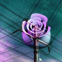 I Was Lonely (feat. Safehold) - Single - Lil Perch