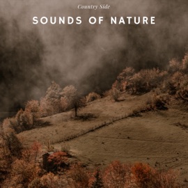 Morning Sounds of the Country Cricket Sounds, Nature Sounds Collabo & Zen Master