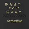 Stream & download What You Want (Radio Edit)