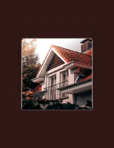 聆聽 Accordion Palooza、觀看音樂影片、閱讀小傳、查看巡演日期等！