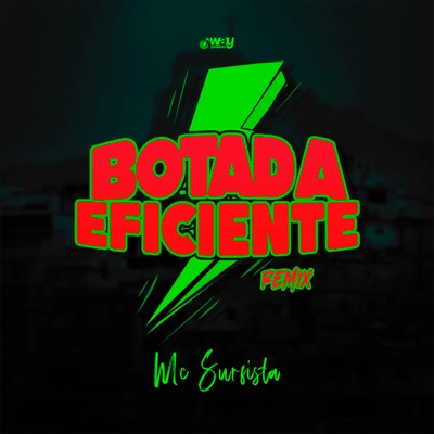 Botada Eficiente (feat. LB Único, PL TORVIC & Way Produtora) [Remix] - Single