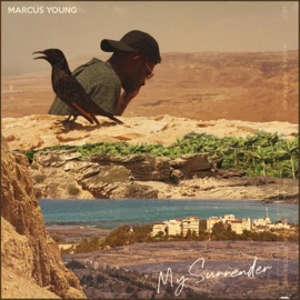 Wonderful Marcus Young