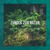 Zurück zur Natur – 1 Stunde Waldbaden Musik, Musik zur Besinnung