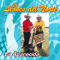 LA APARECIDA