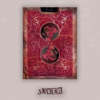 JOKER - Single - MATE