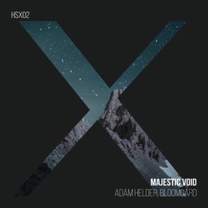Majestic Void - Single
