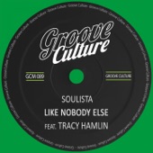 Like Nobody Else (feat. Tracy Hamlin) [Extended Mix] artwork