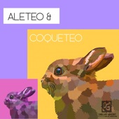 Aleteo & Coqueteo 2019 artwork