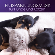 Calming Music for Pets - Entspannungsmusik Culture
