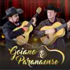 Goiano & Paranaense - A Vida de um Boiadeiro
