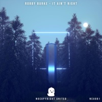 It Ain't Right - Single - Robby Burke