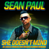 She Doesn't Mind (DJ Laszlo Radio Edit) - Sean Paul