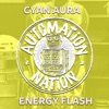 Energy Flash - Single