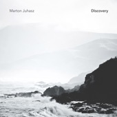 Marton Juhasz - Industry