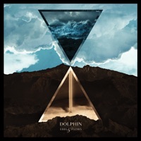 Ebbs & Flows - Dolphin