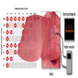 Bloodtype (feat. Elliott) WeakNess!
