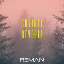 Cuvinte ReMan