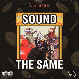 Sound the Same Lui Mann
