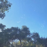 Sincerely Me - Single - Memnoc