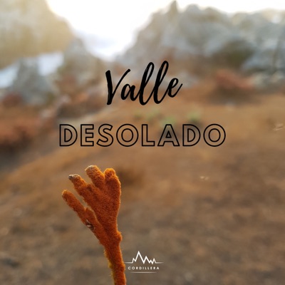 Valle Desolado - Single