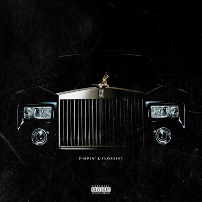 Pimpin' & Flossin' (feat. John Austin) - Single