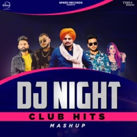 DJ Night Club Hits - Single - Sidhu Moose Wala, Preet Hundal, Jasmine Sandlas, Millind Gaba, Mankirt Aulakh & Parmish Verma