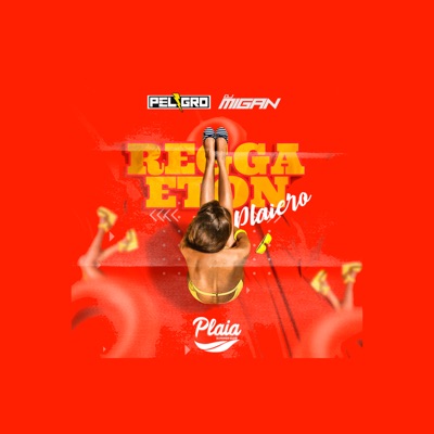 DJ MIGAN & Peligro Norteño - Reggaeton Plaiero