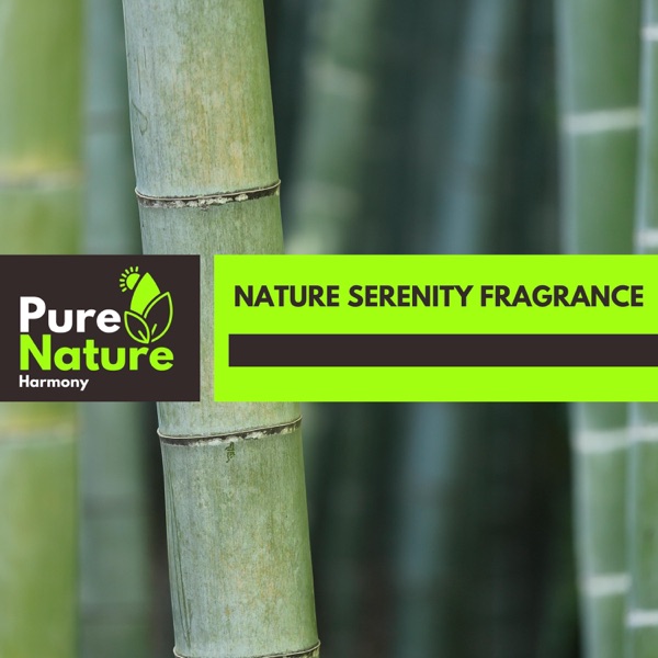 Nature Serenity Fragrance