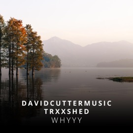 Whyyy David Cutter Music & trxxshed