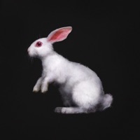Port Rd (feat. Queen P.) - Single - Holy Holy