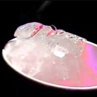 Reckless (feat. Almighty Alpha) - Single - Desconocido