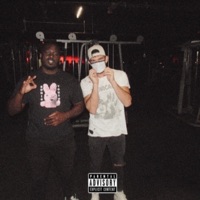 Shapel - Single - Lil Brows