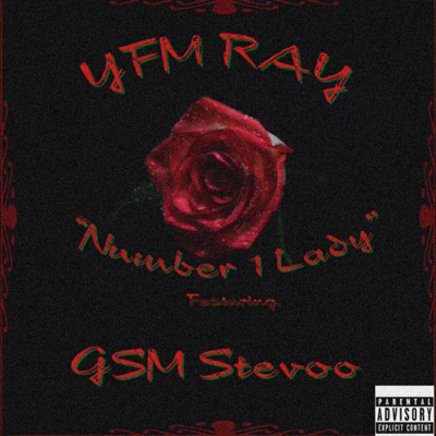 Number 1 Lady (feat. YFM Ray) - Single