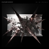 Culture Shock - Visions