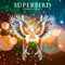 Mr. Make Your Own Luck - Superbird lyrics