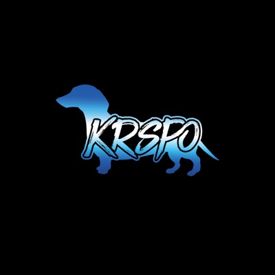 Stupid or Somethin' (feat. Euphemistic) - Single