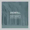 snowfall
